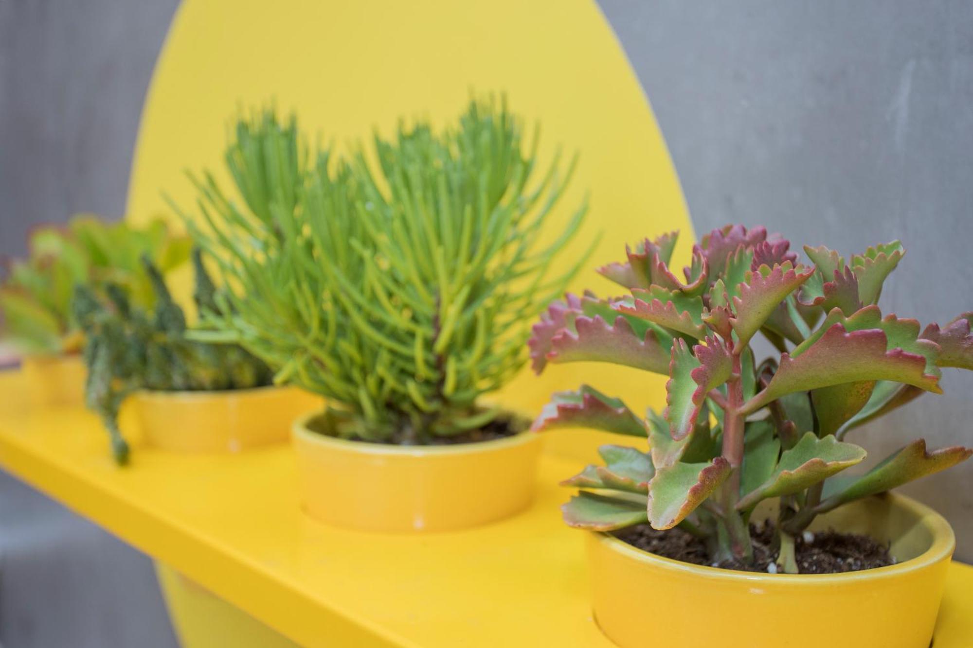 Liiiving In Porto - Clerigos Terrace Apartment Bagian luar foto